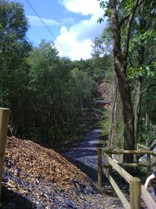 swamp zip slide