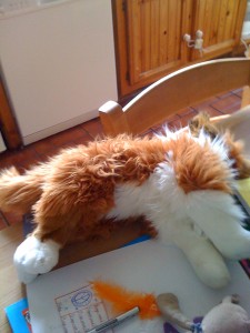 lucy-the-dog
