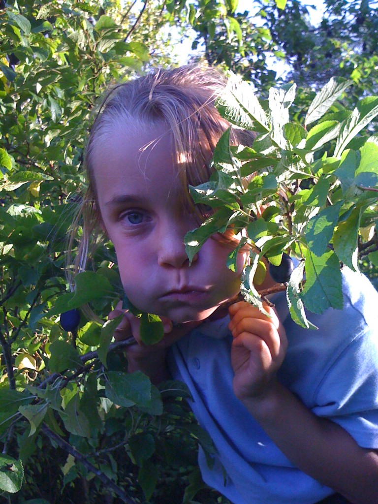 lily the squirrel