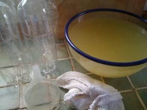 everything ready for bottling