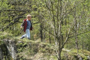 joel in the woods