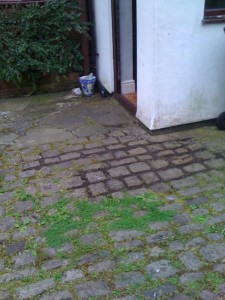 slightly weeded yard