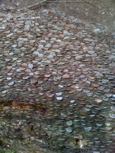 coin log 2 coin log 2