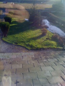 it's been raining a bit recently...