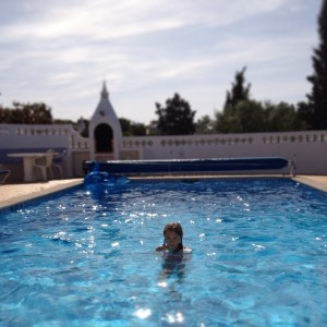 lily in the pool