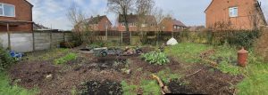 veggie patch pano before