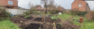 veggie patch pano after some tidying up
