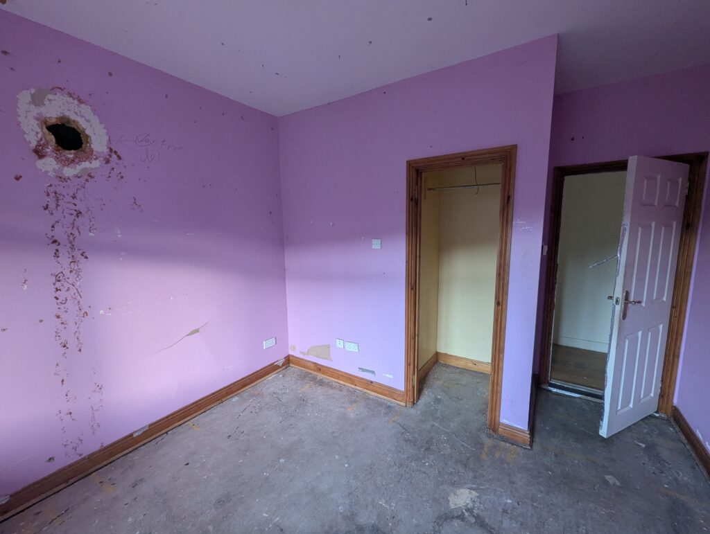 empty room with sickly pink walls and a walk0in cupboard